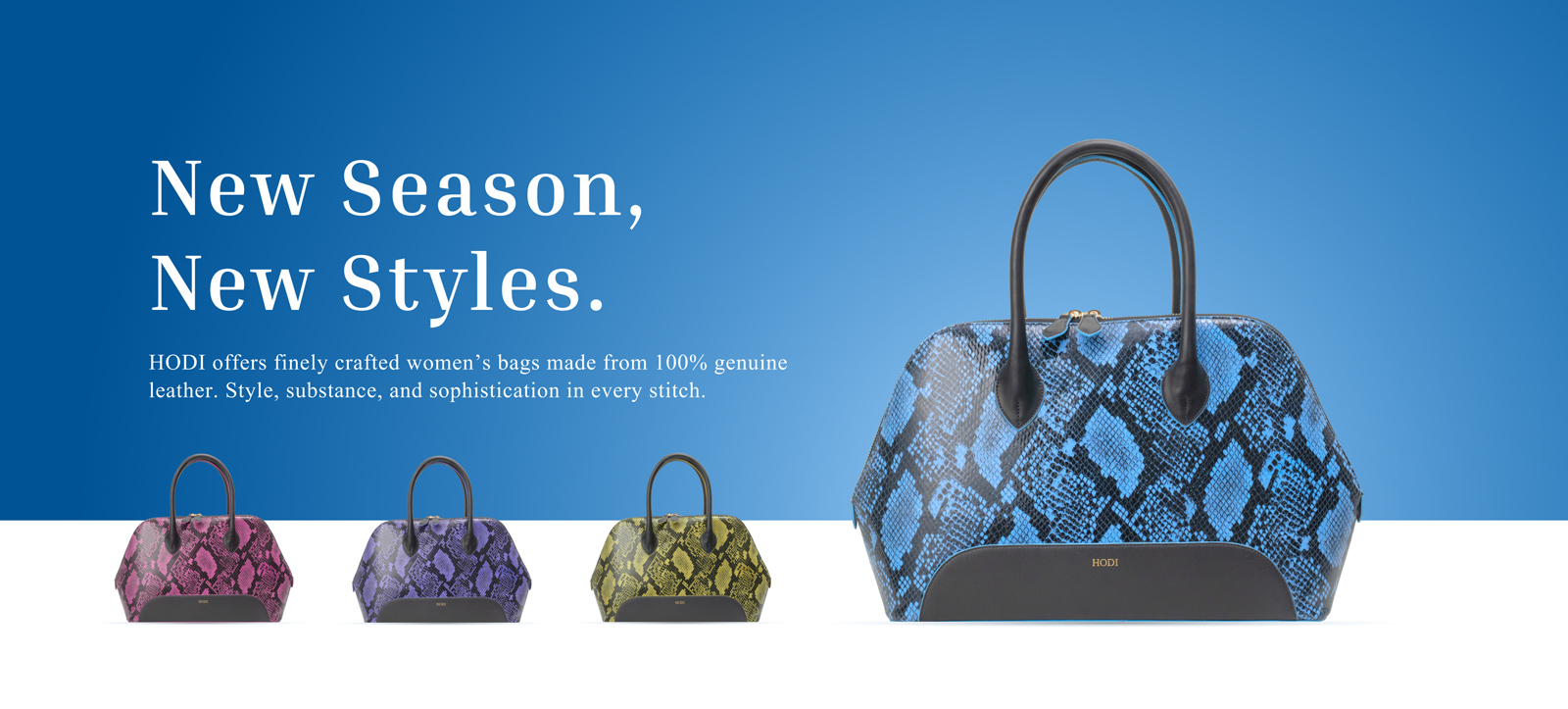 Hodi-Website-Banner-1-Resized