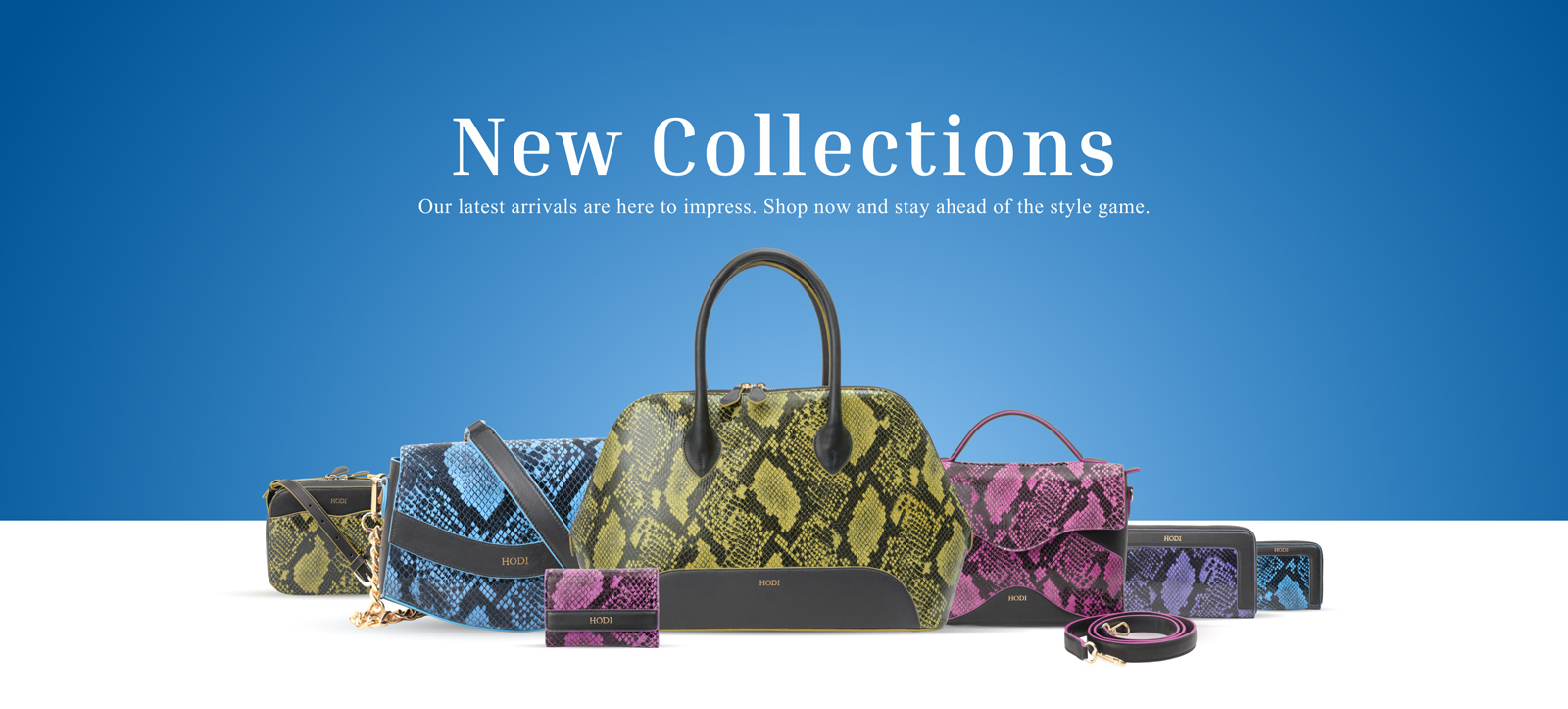 Hodi-Website-Banner-2-Resized